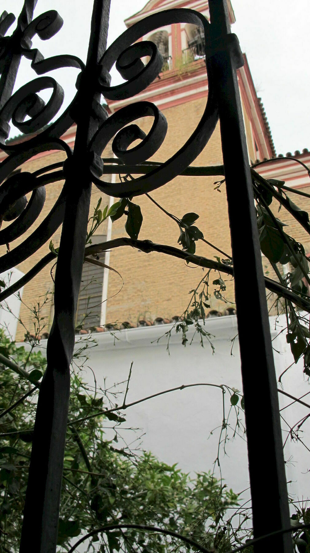 Venerables * Sevilla