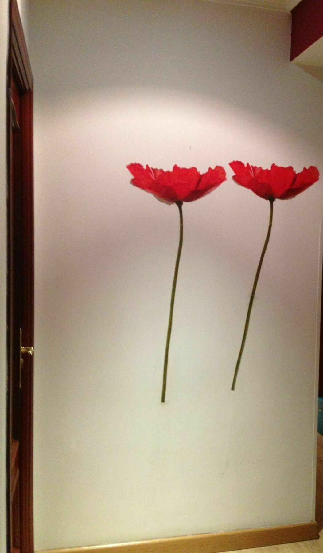 Estrella Guest house Madrid