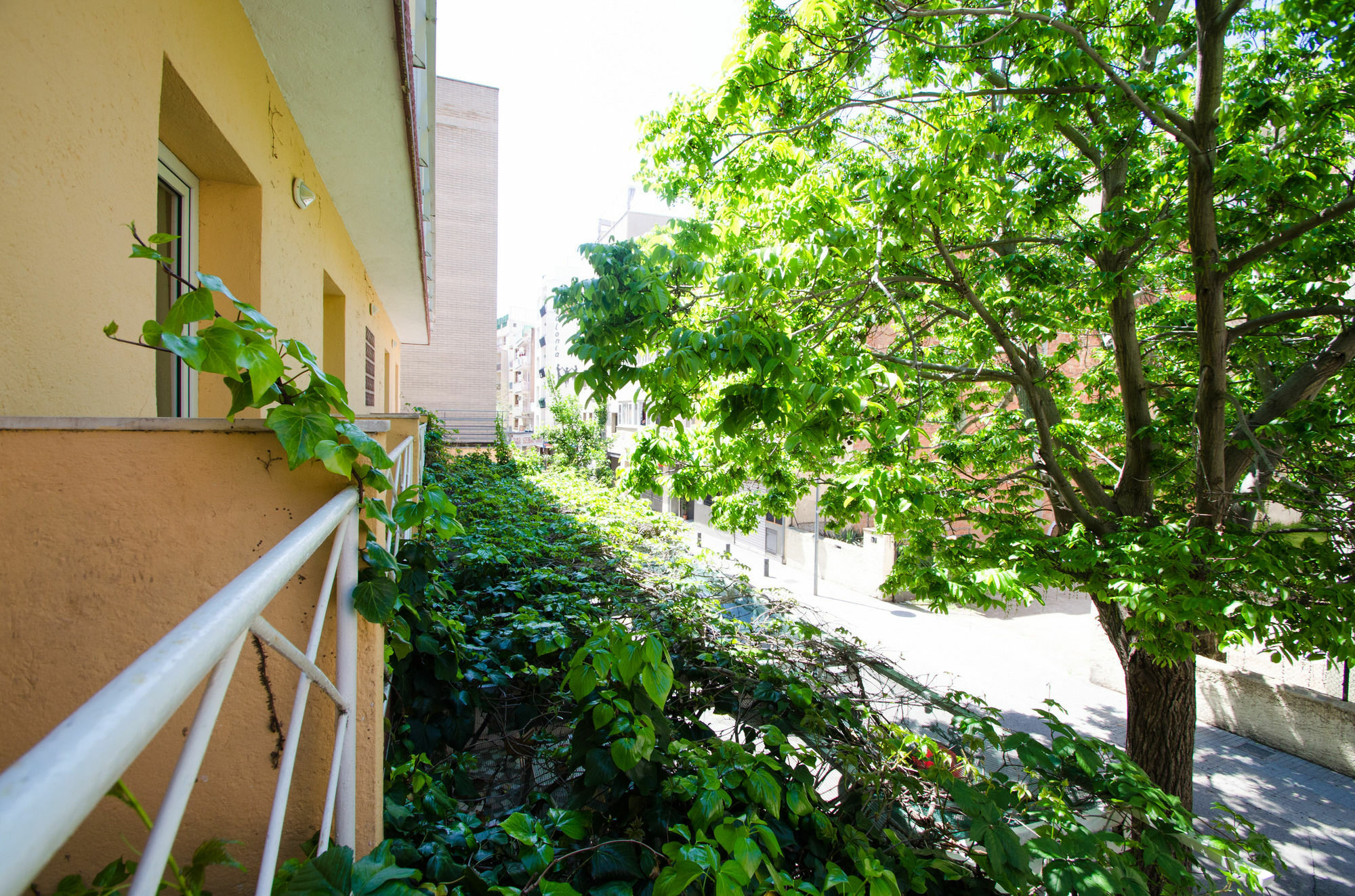 Lloret Guest house 2*