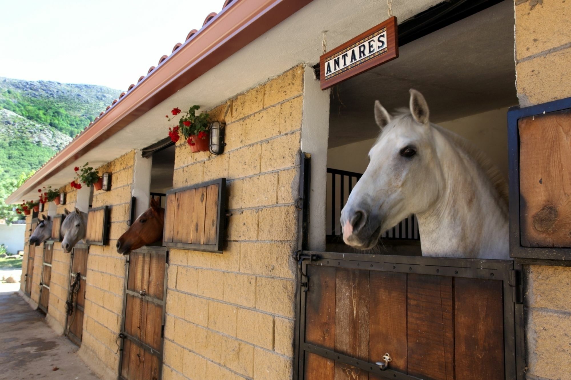El Hotelito