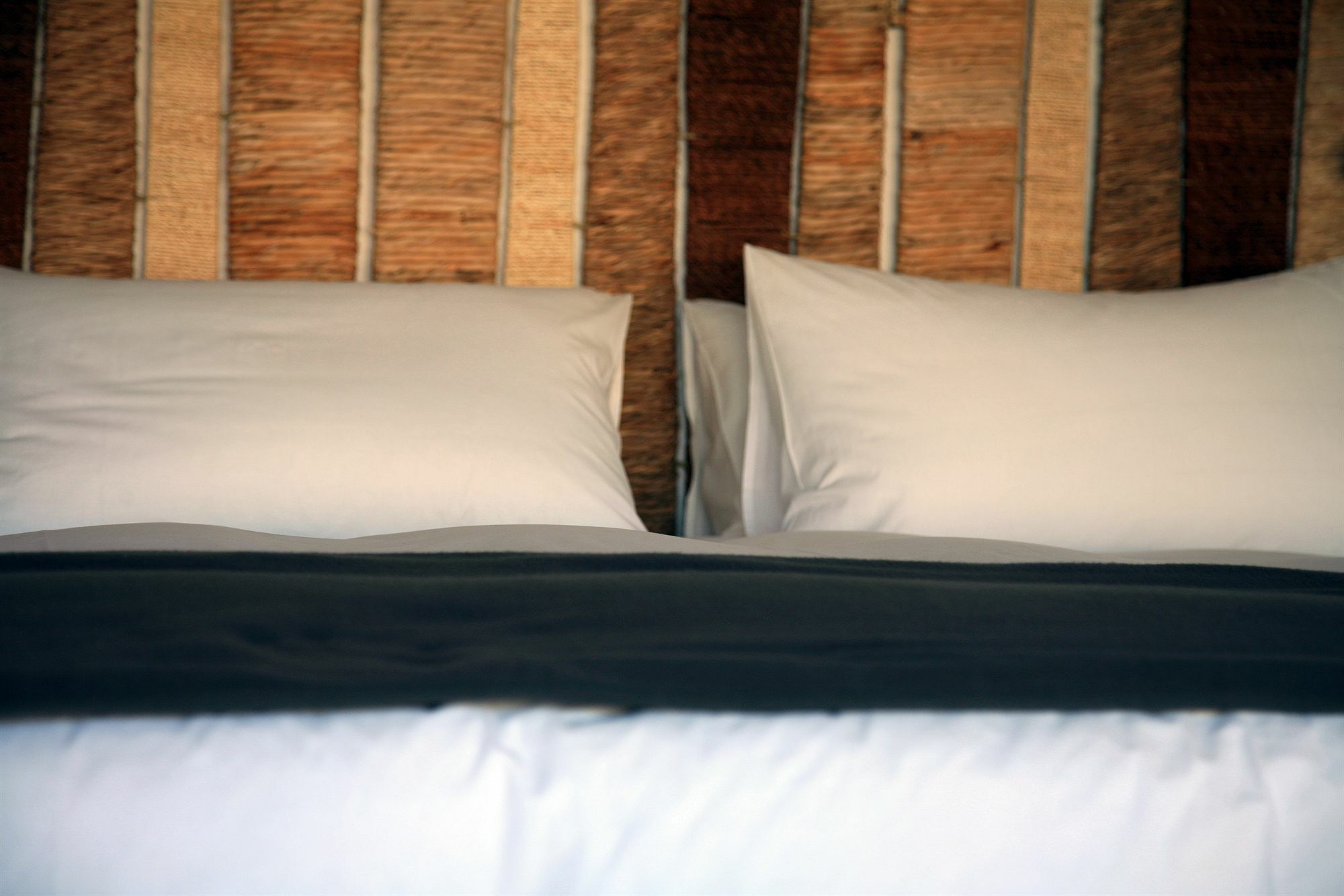 El Hotelito Hotel