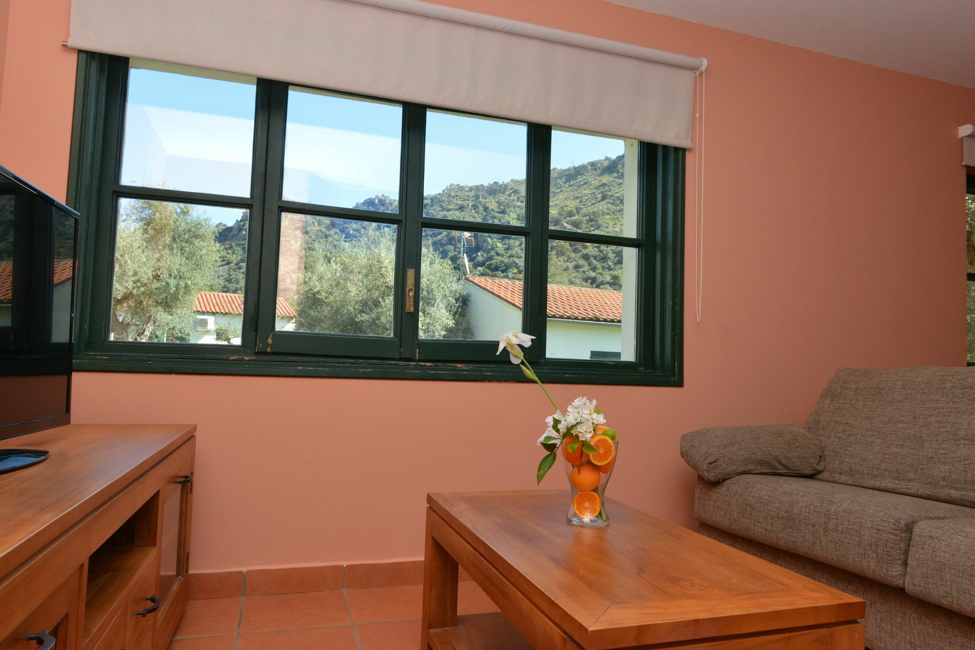 Aldeaduero Country house