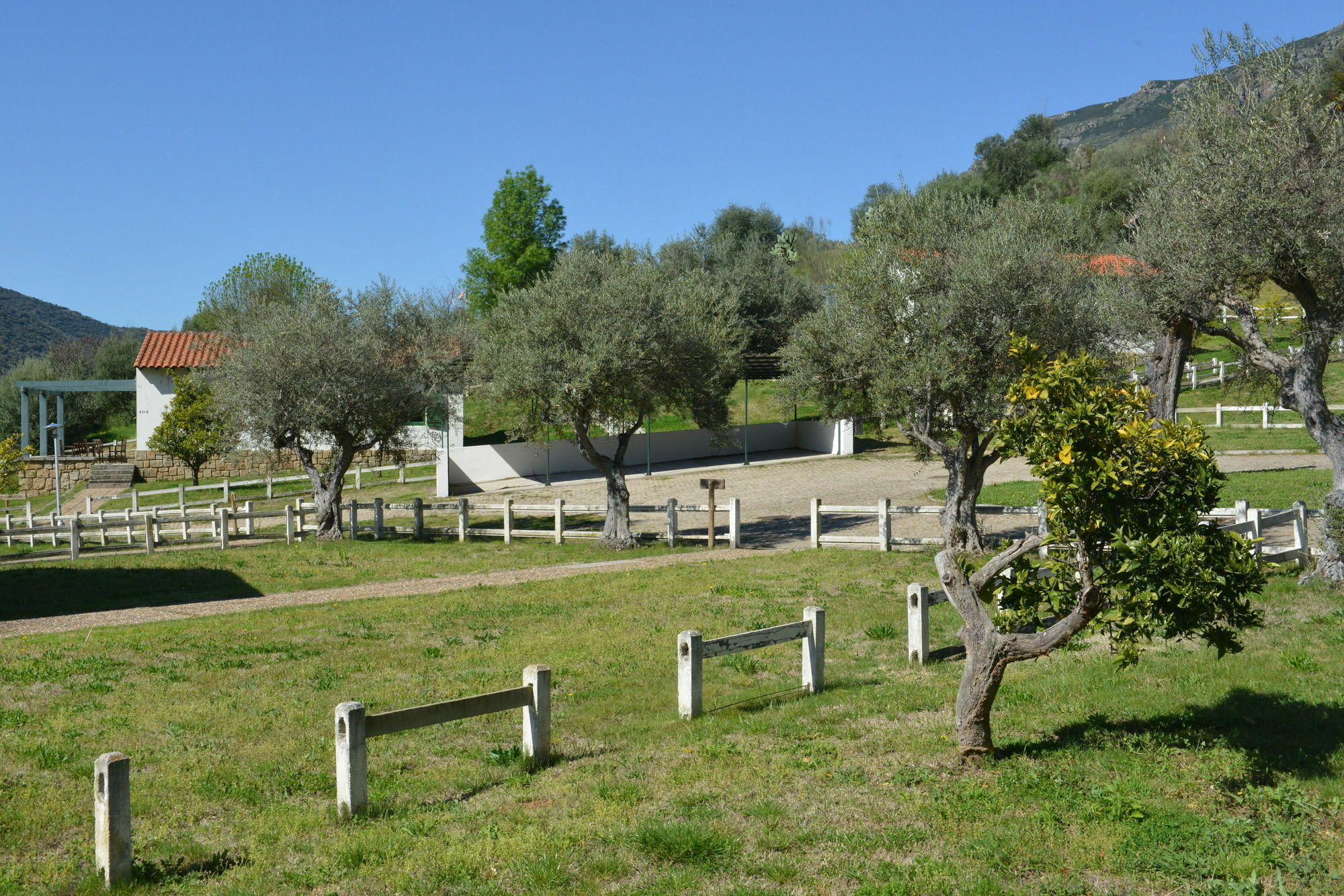 Aldeaduero Country house *