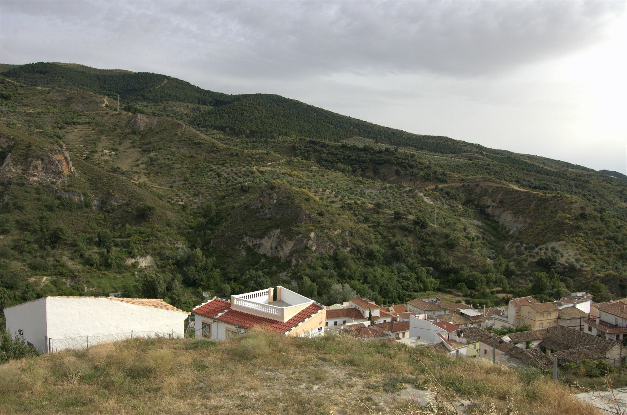 Rural