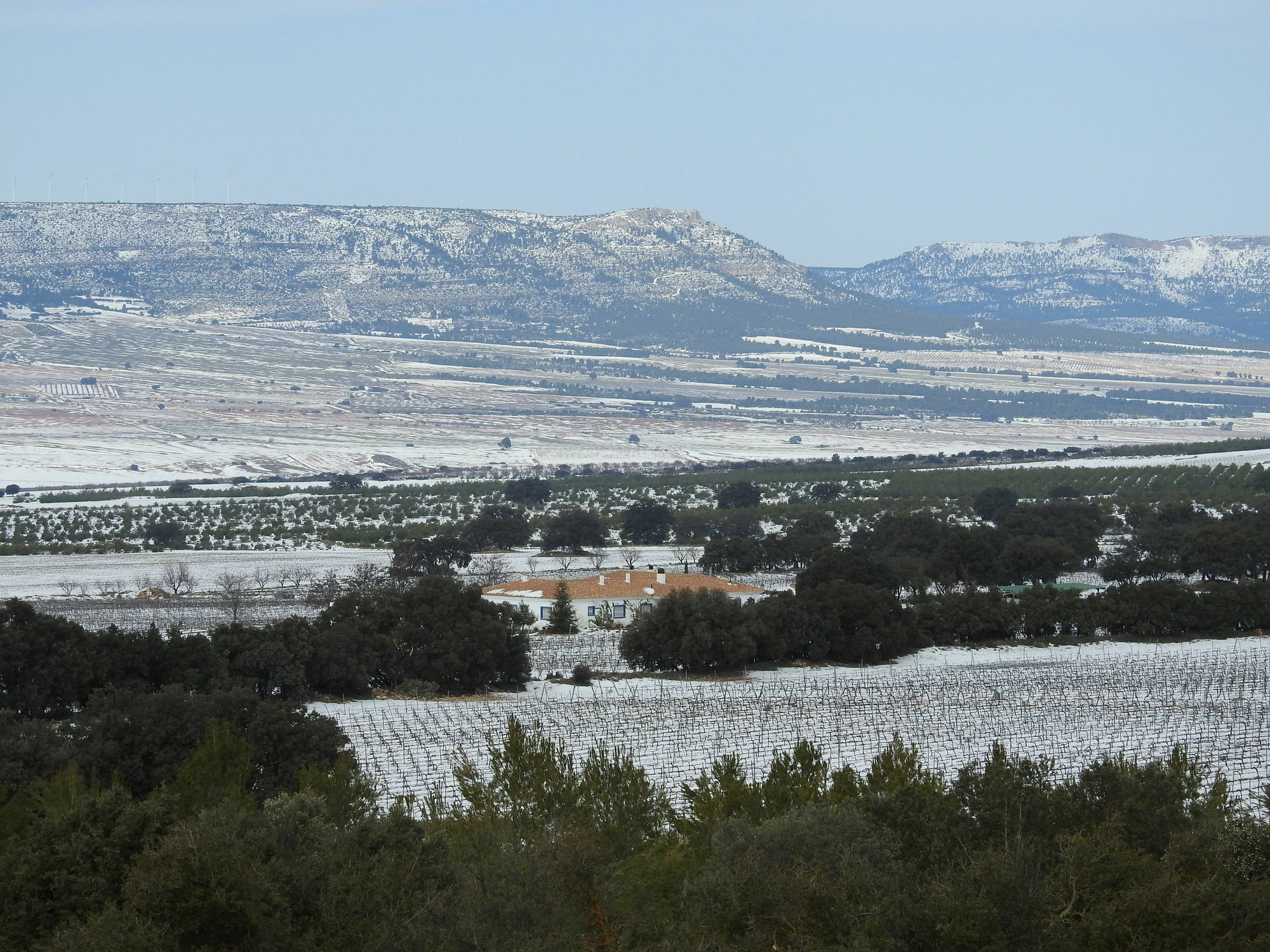 El Romeral 4* Alpera