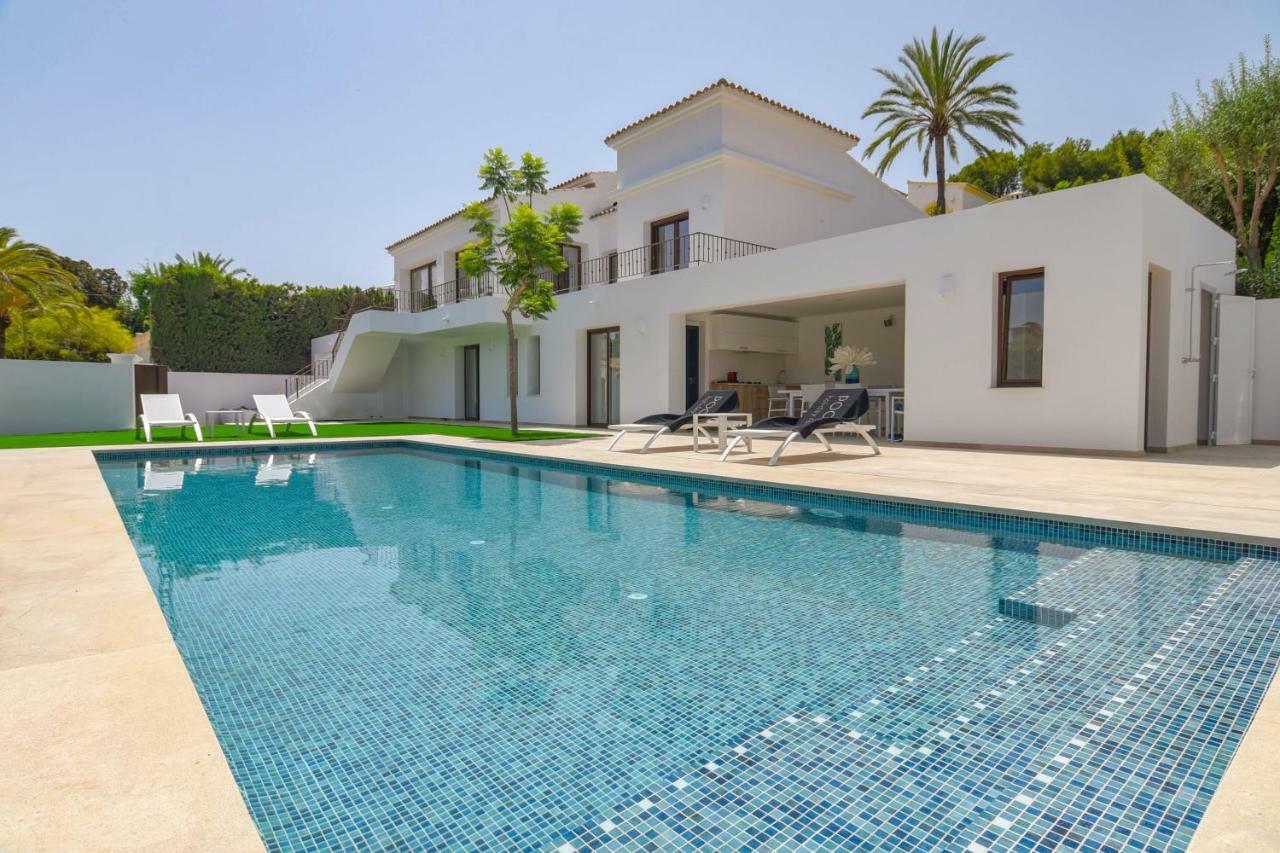 Amipa Moraira