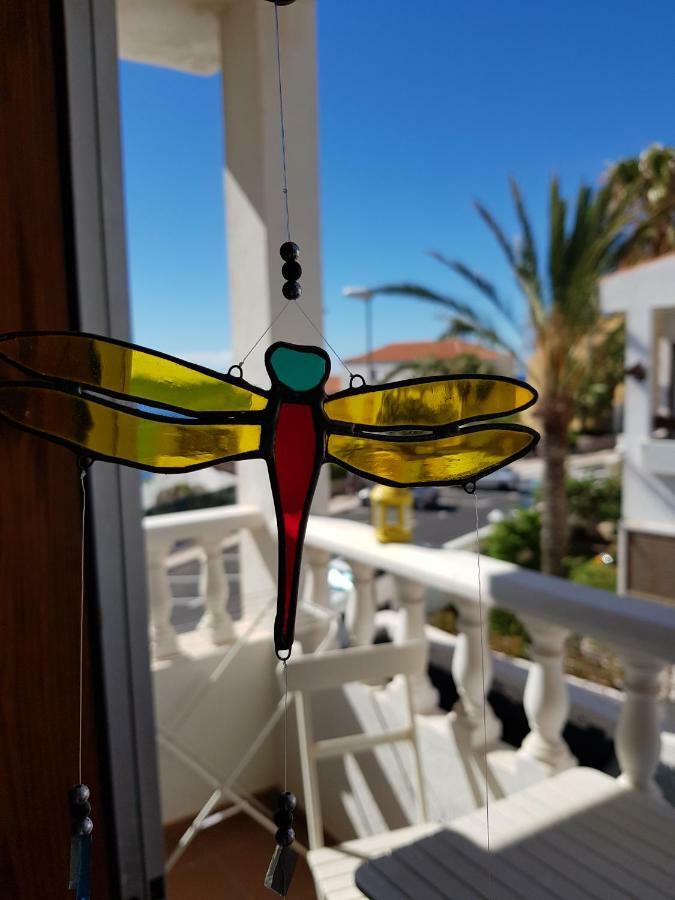The Magic Dragonfly! Pensión 3*