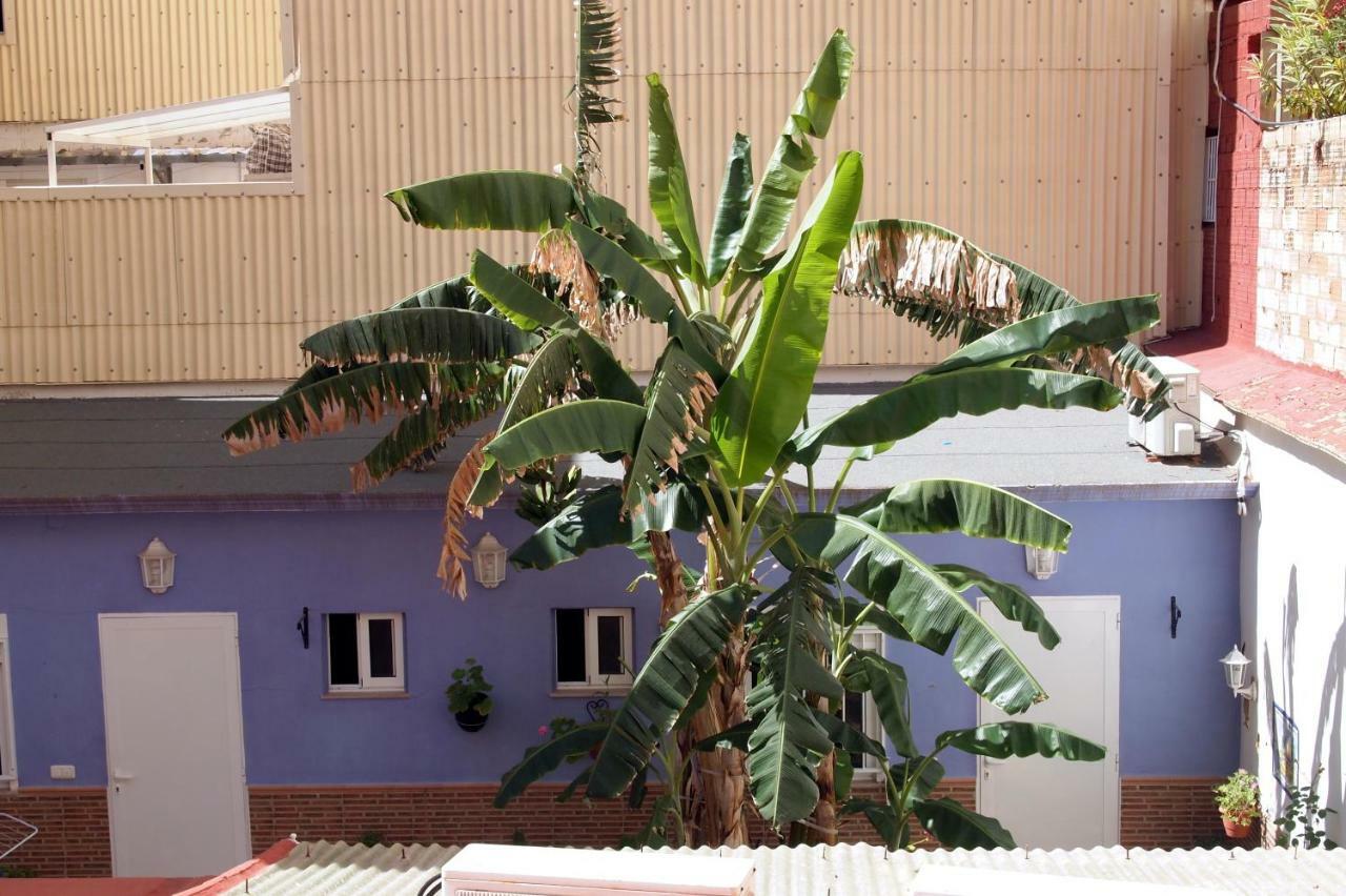 Flaming Cb Apartment Cullera