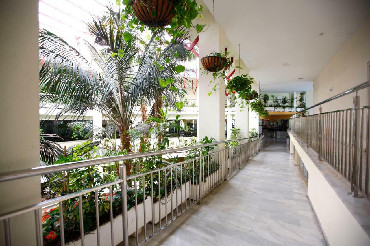 Benalbeach Terrace Apartment