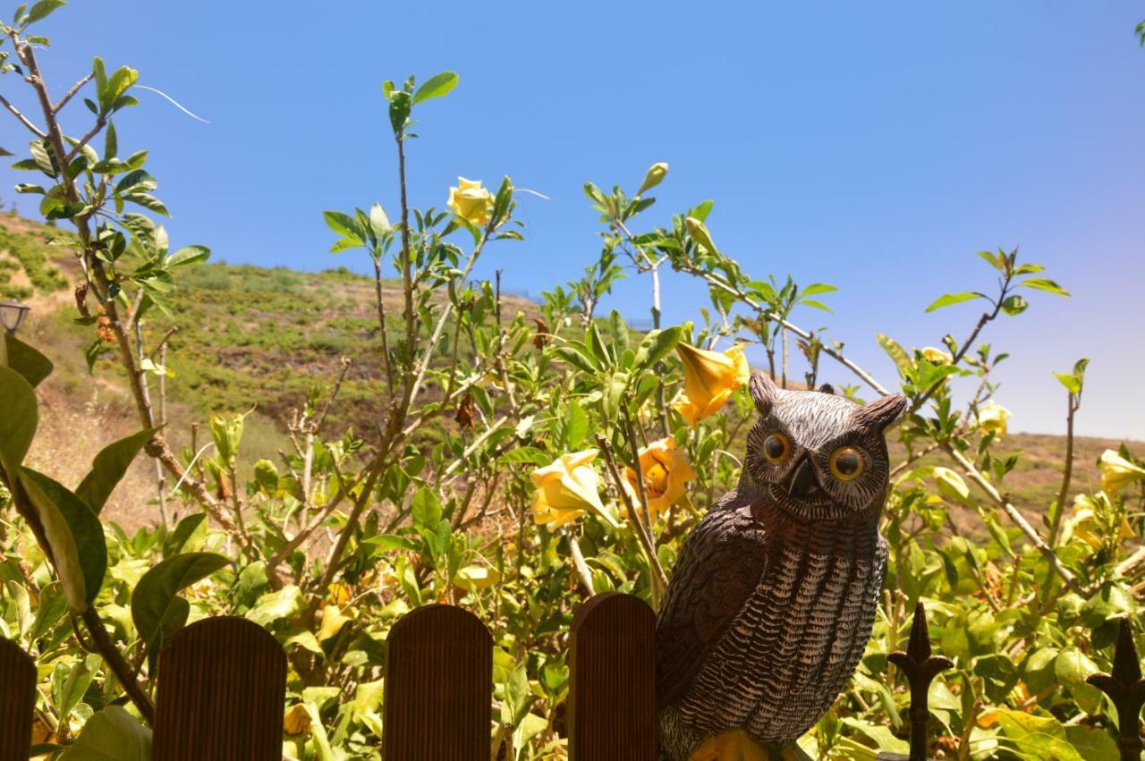 Carmela Сasa de vacaciones Vallehermoso