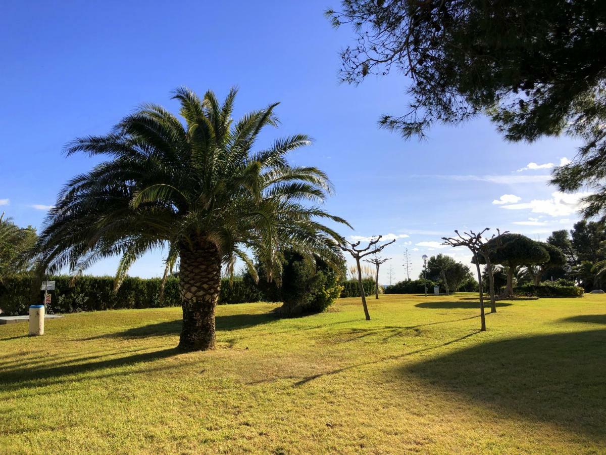Rentalmar Horizon