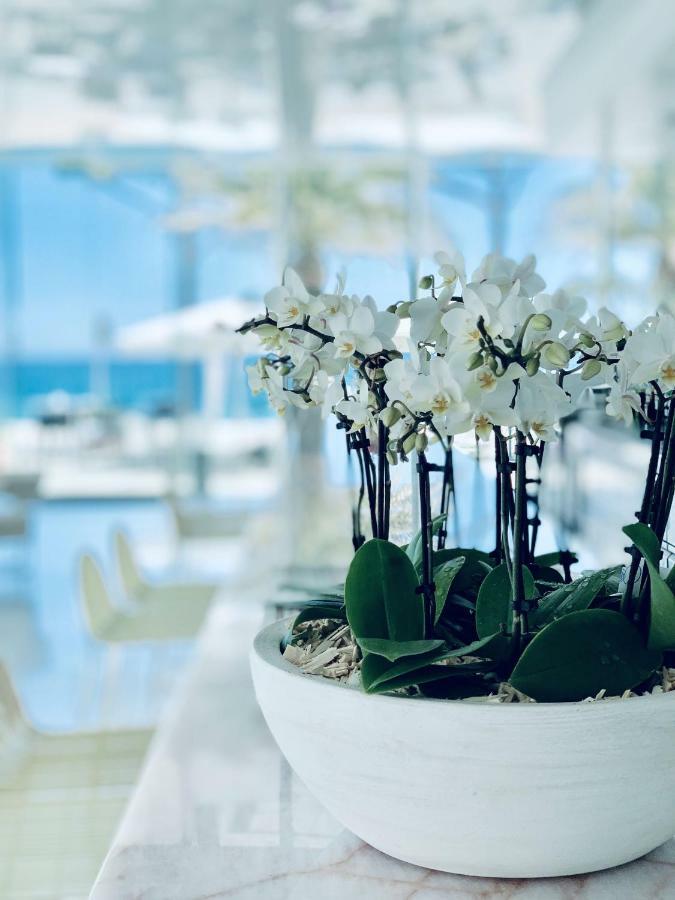 Aromar Hotel Platja d'Aro (Playa de Aro)