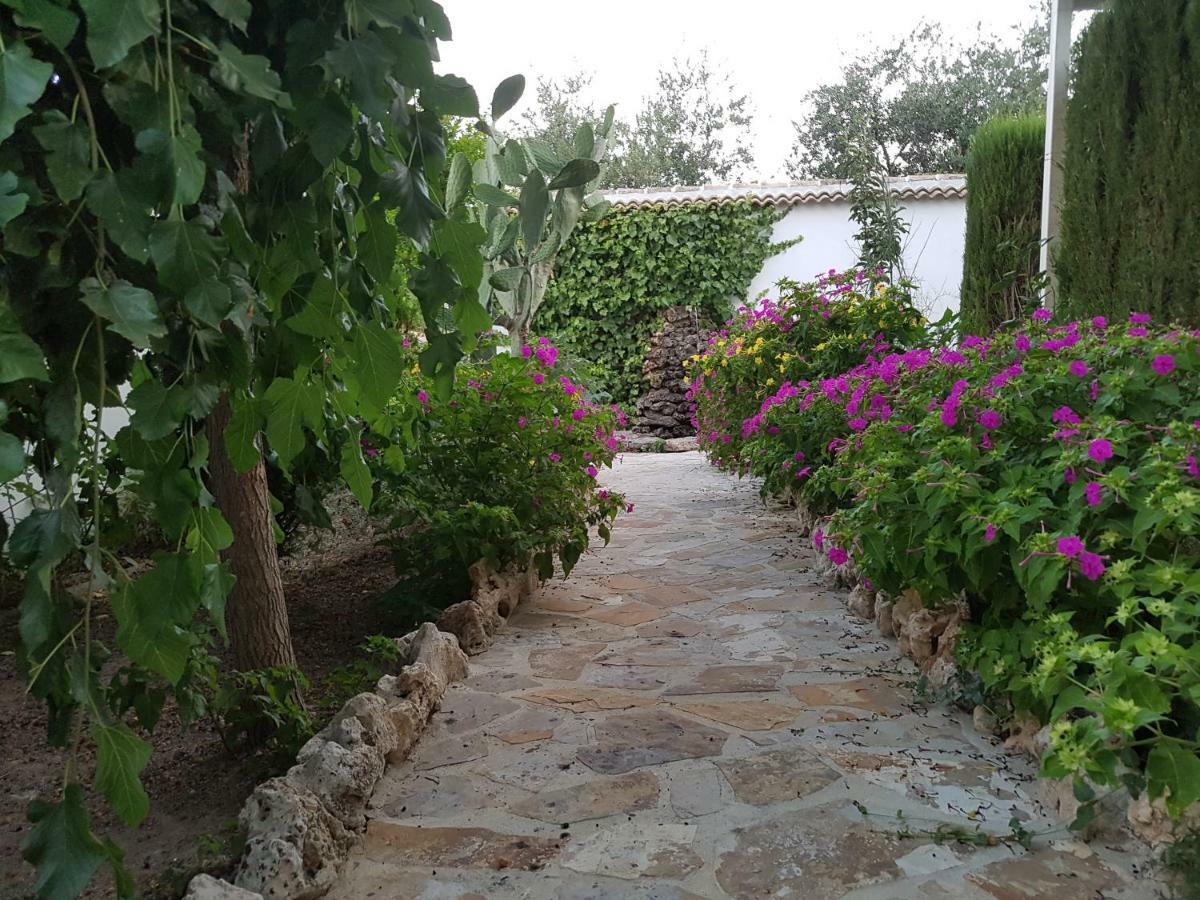 Amparo Casa rural