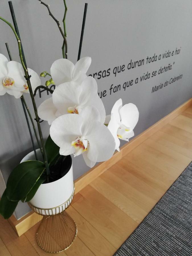 Guest house Camino Norte Vilalba