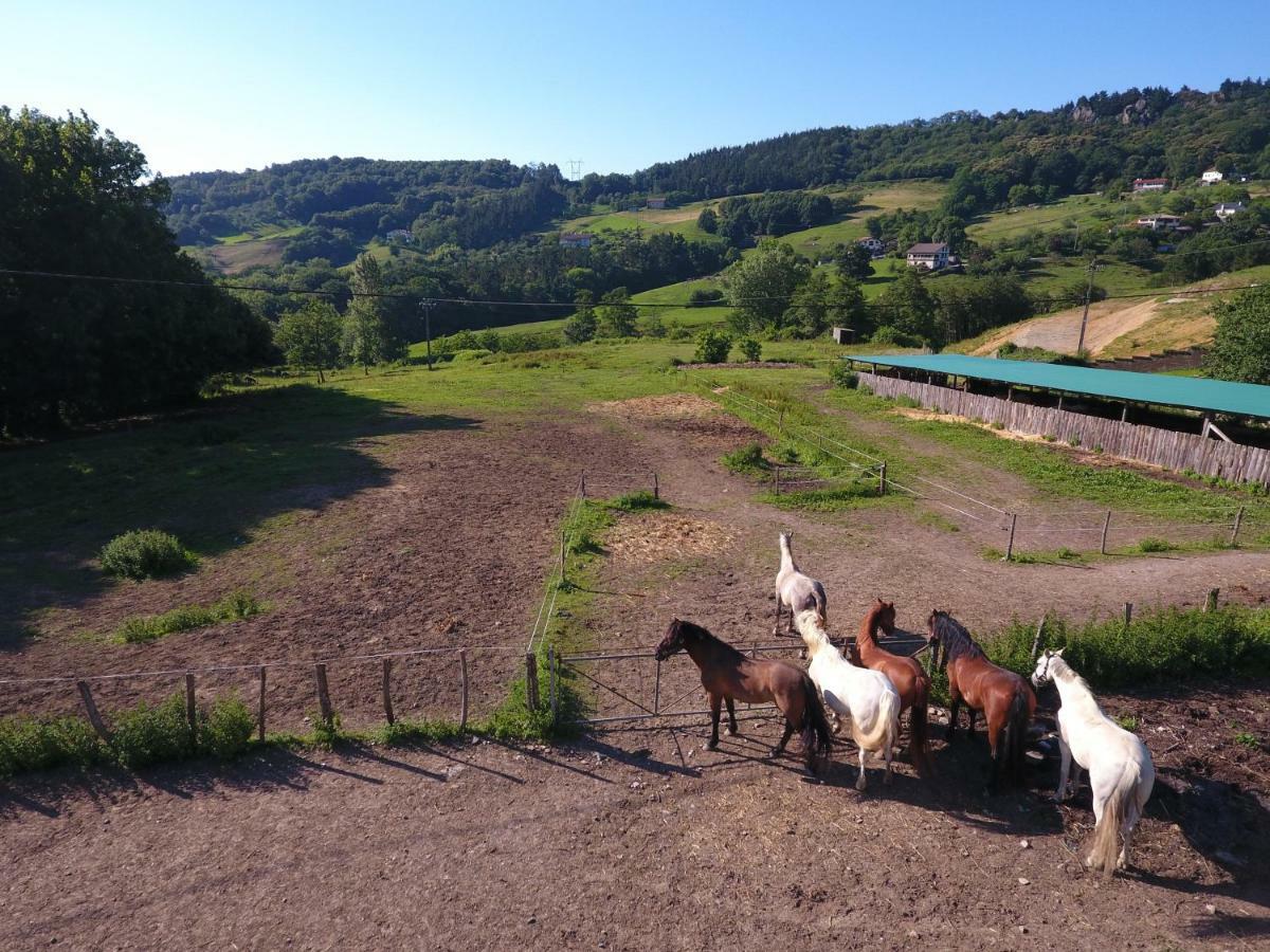 Agroturismo Anziola Oiartzun