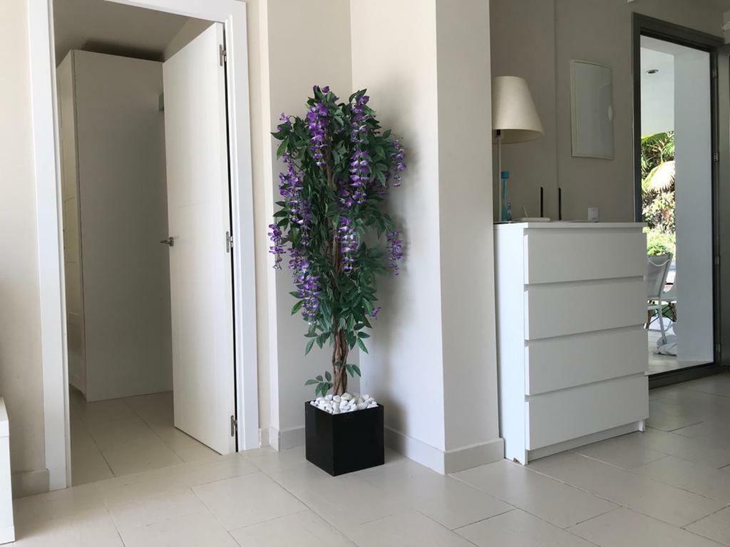 Apartamento Martina *