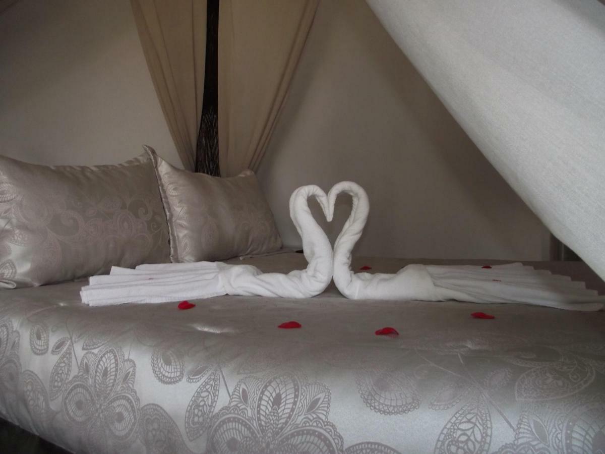 El Canario Guest house *
