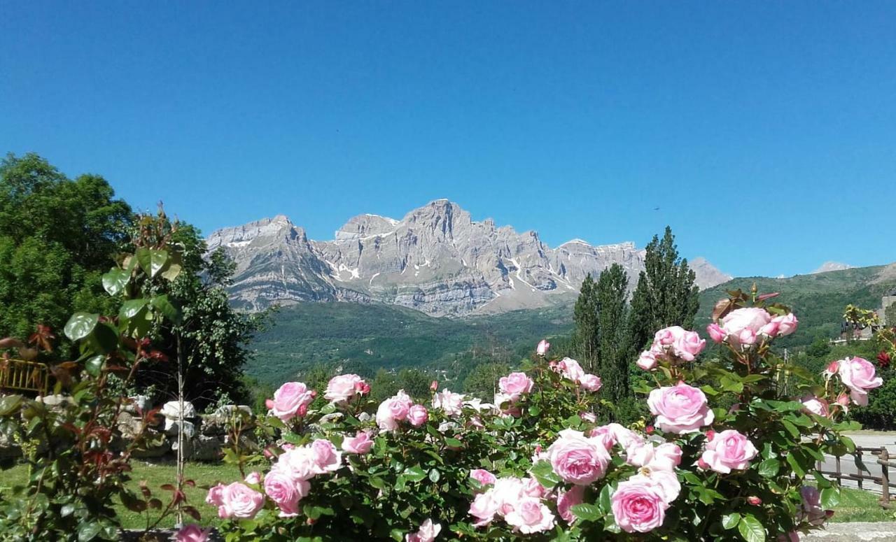 Campsite Panticosa Lodge