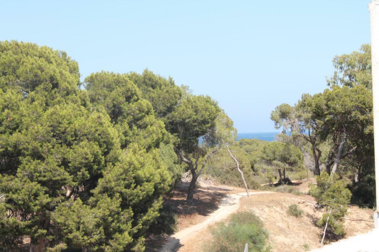 Gbh San Jaime Apartment