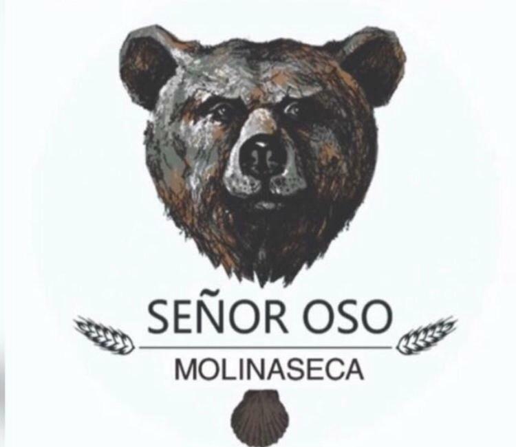 Senor Oso * Molinaseca