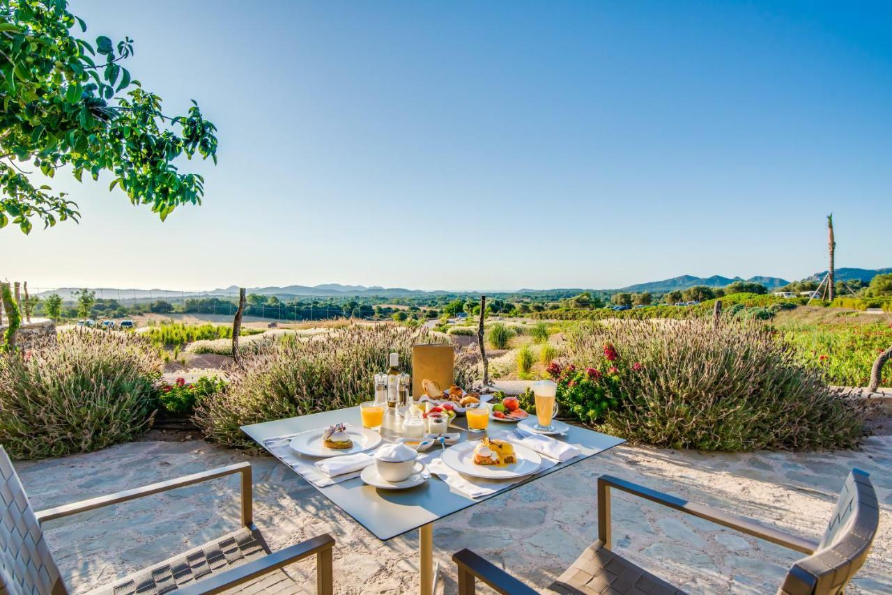 Carrossa & Hotel Arta