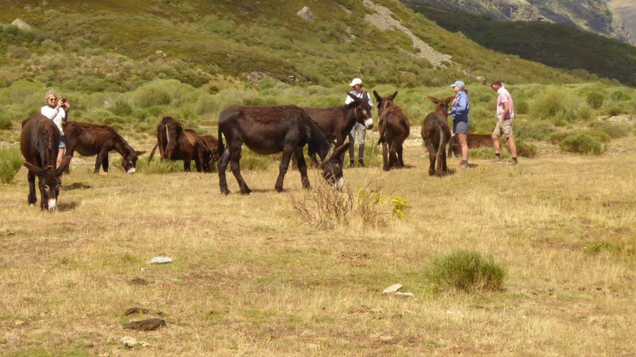 Picos De Europa Potes
