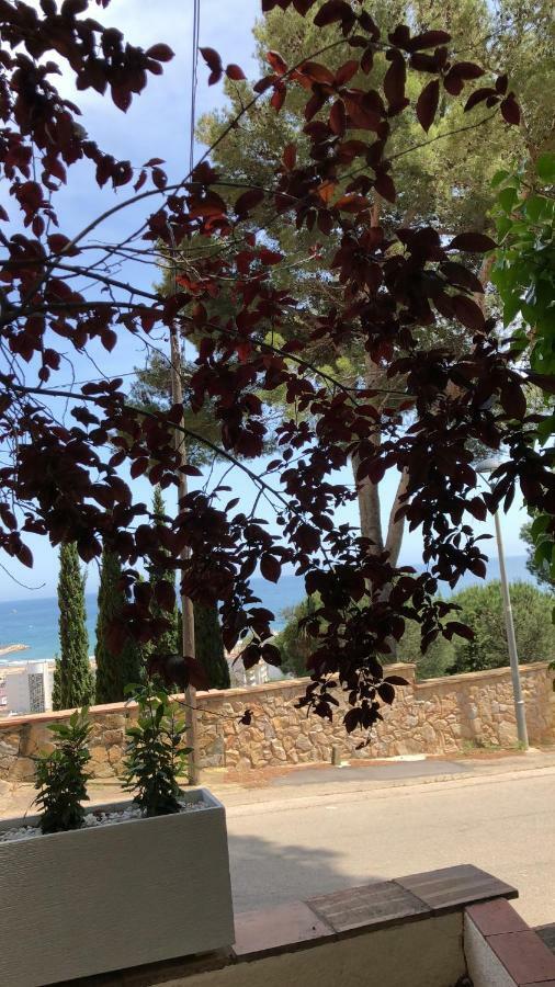 Mediterrania 98 Torroella De Montgri