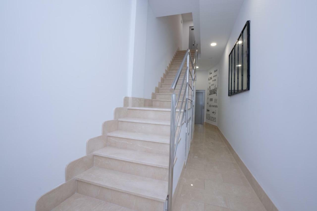 Mombasa 2 Planta