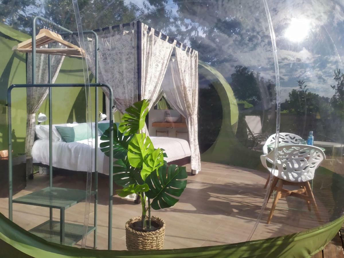 Remanso De Trasfontao Casa Arbores & Bubble *
