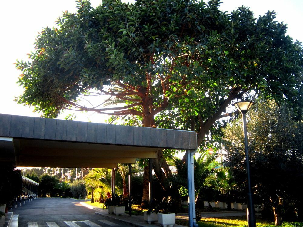 Hospedium Abril Hotel San Juan (Alicante)