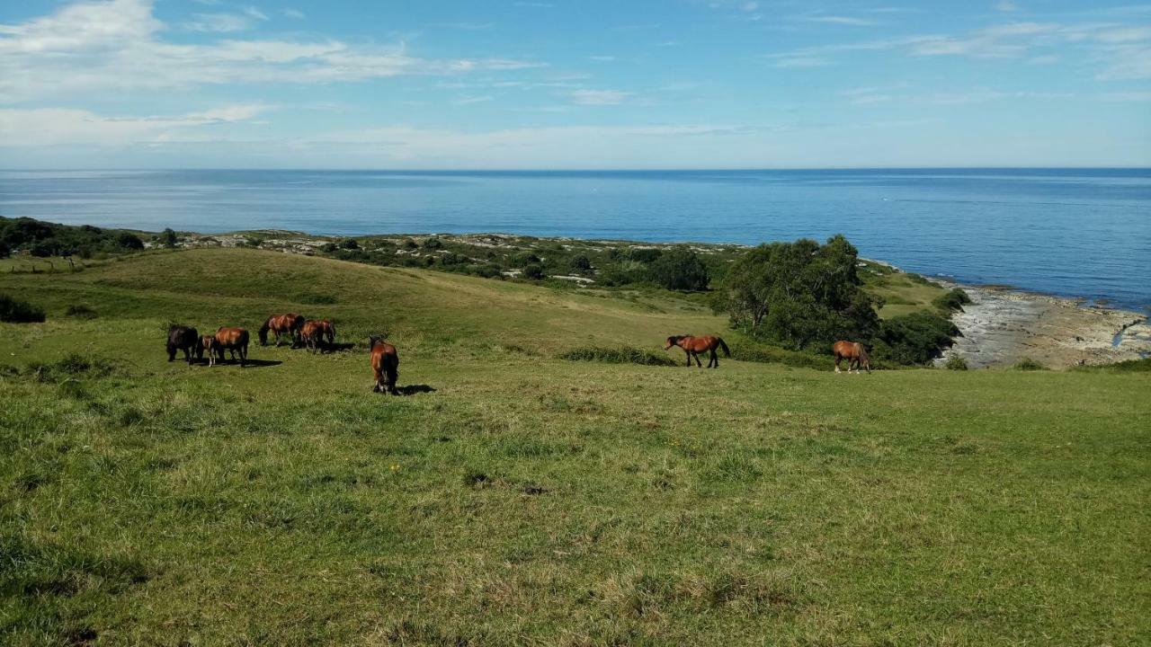 Punta Liñera Pensión *