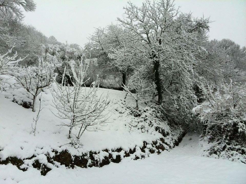 Casa Gloria Casa rural *