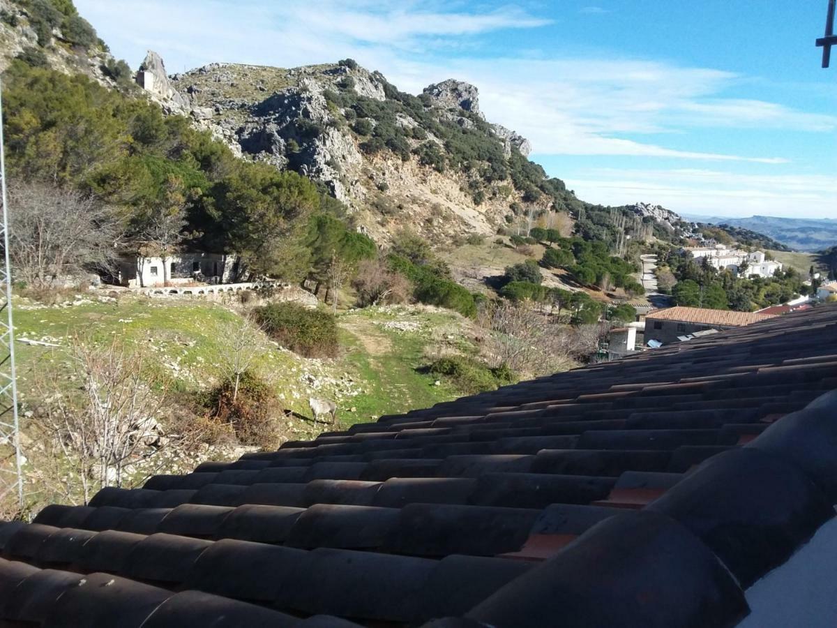 Rural Tassone