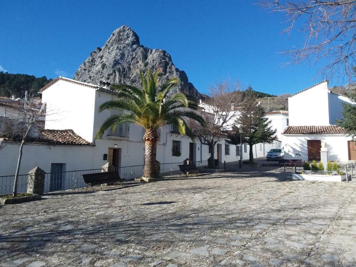 Rural Tassone