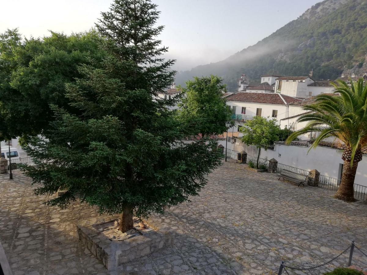 Rural Tassone