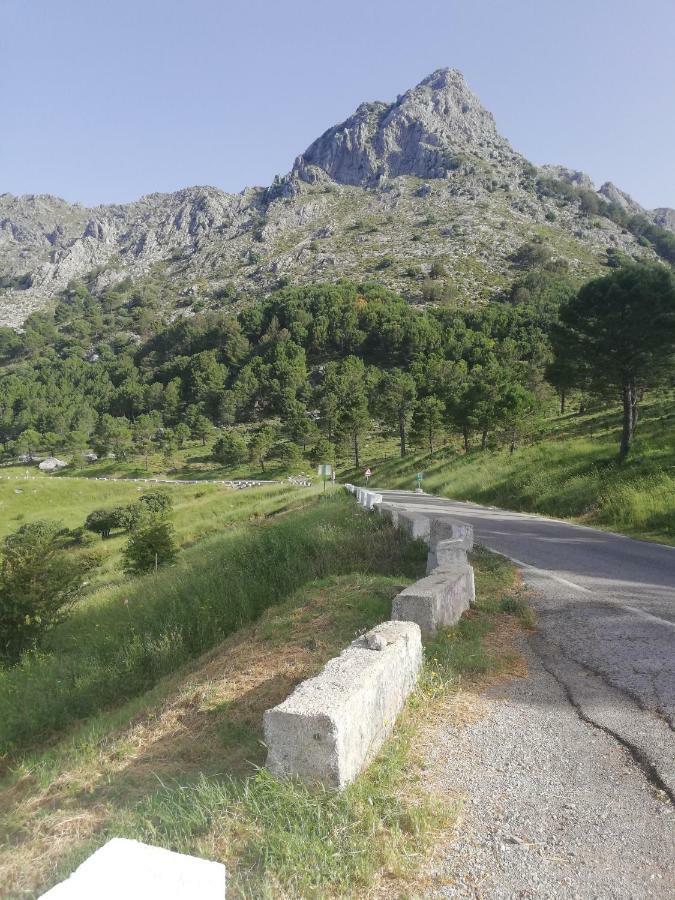 Rural Tassone Grazalema