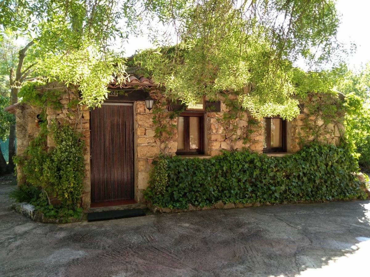 Picos Del Oso Country house Riopar
