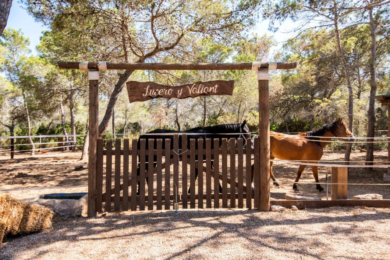 Cala Boix Guest house *