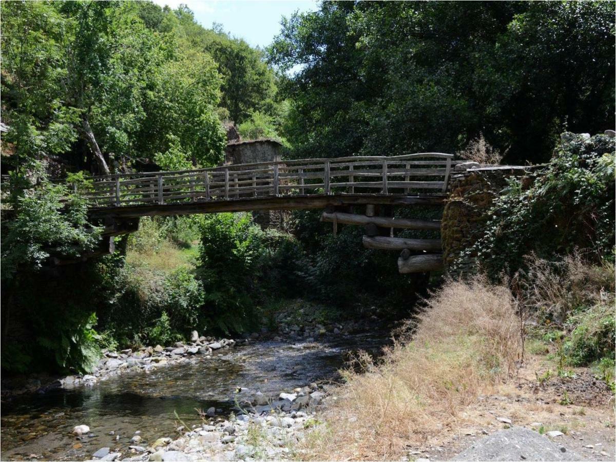 La Casa De Cela * Cela (Asturias)