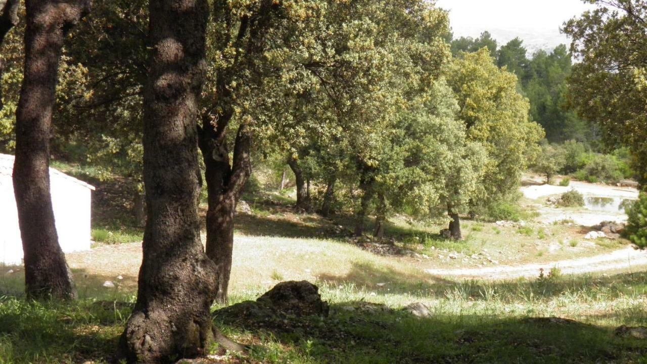 Casa rural El Pinar De La Lobera