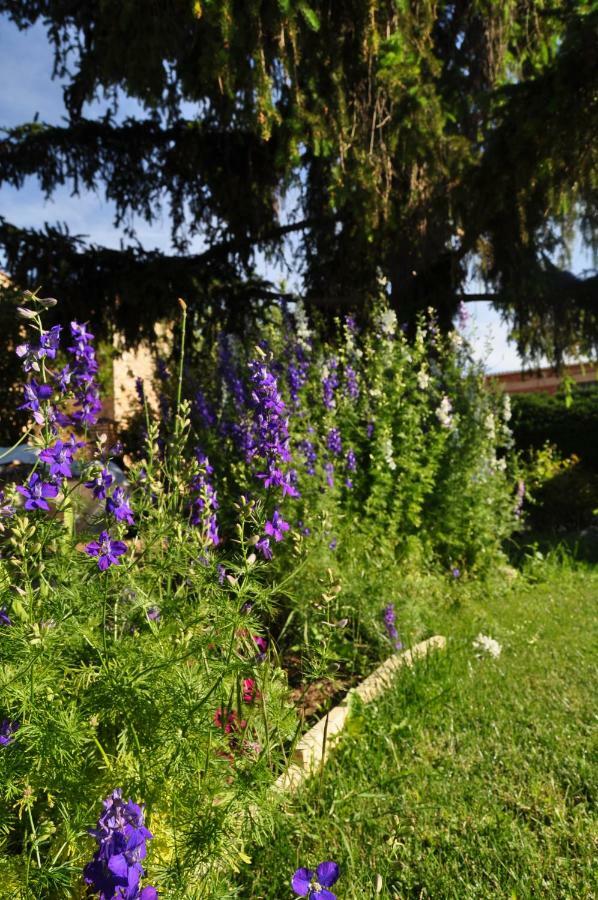 El Jardin De Manuela Сasa de vacaciones *