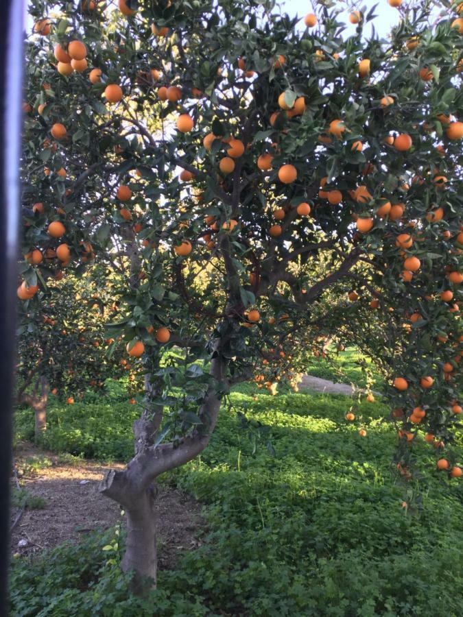 El Cortijo De La Abuela * Benahadux