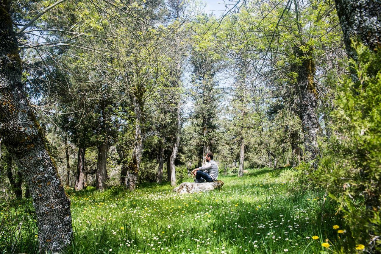Country house Molino Del Feo
