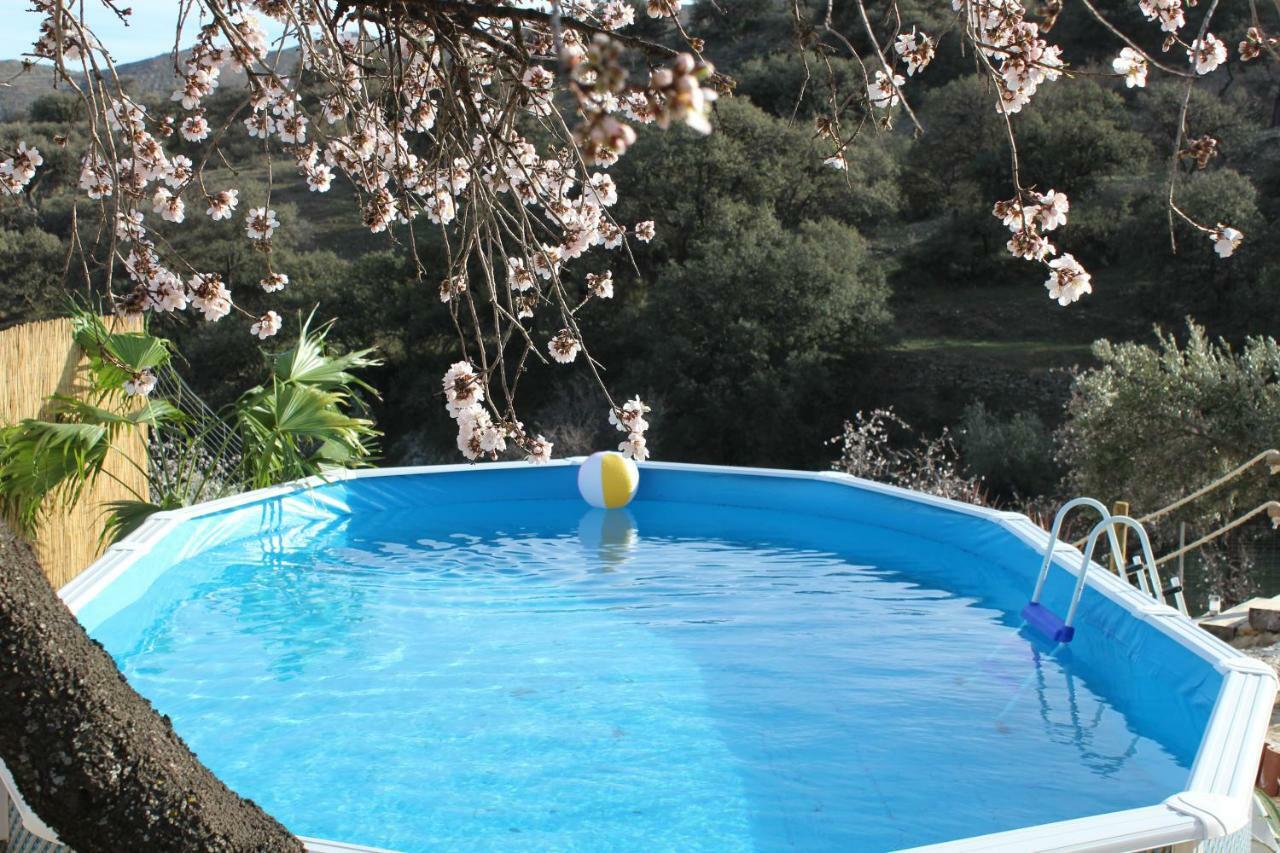 Cortijo Rincon De La Alcudia Villa *