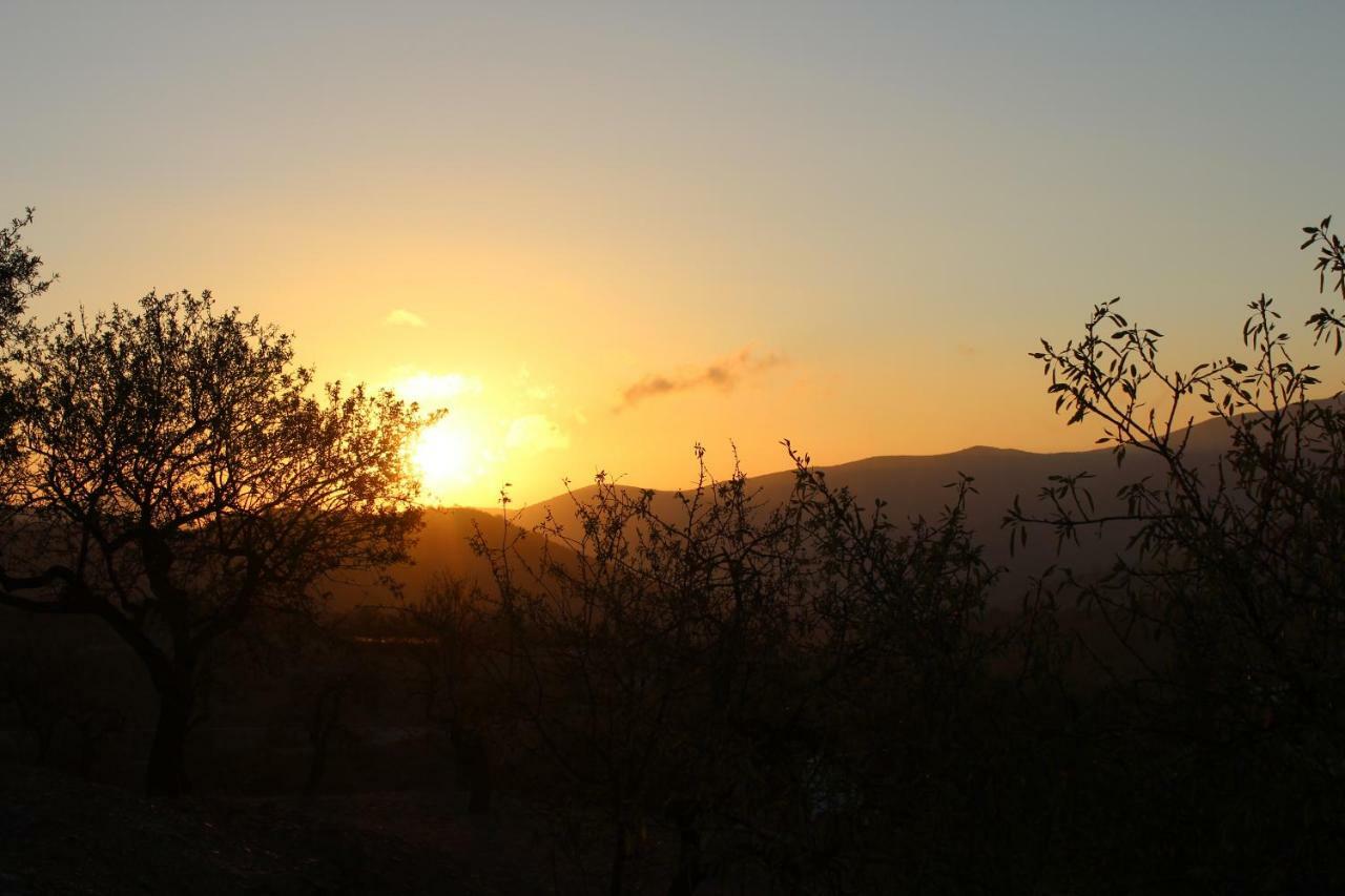 Cortijo Rincon De La Alcudia