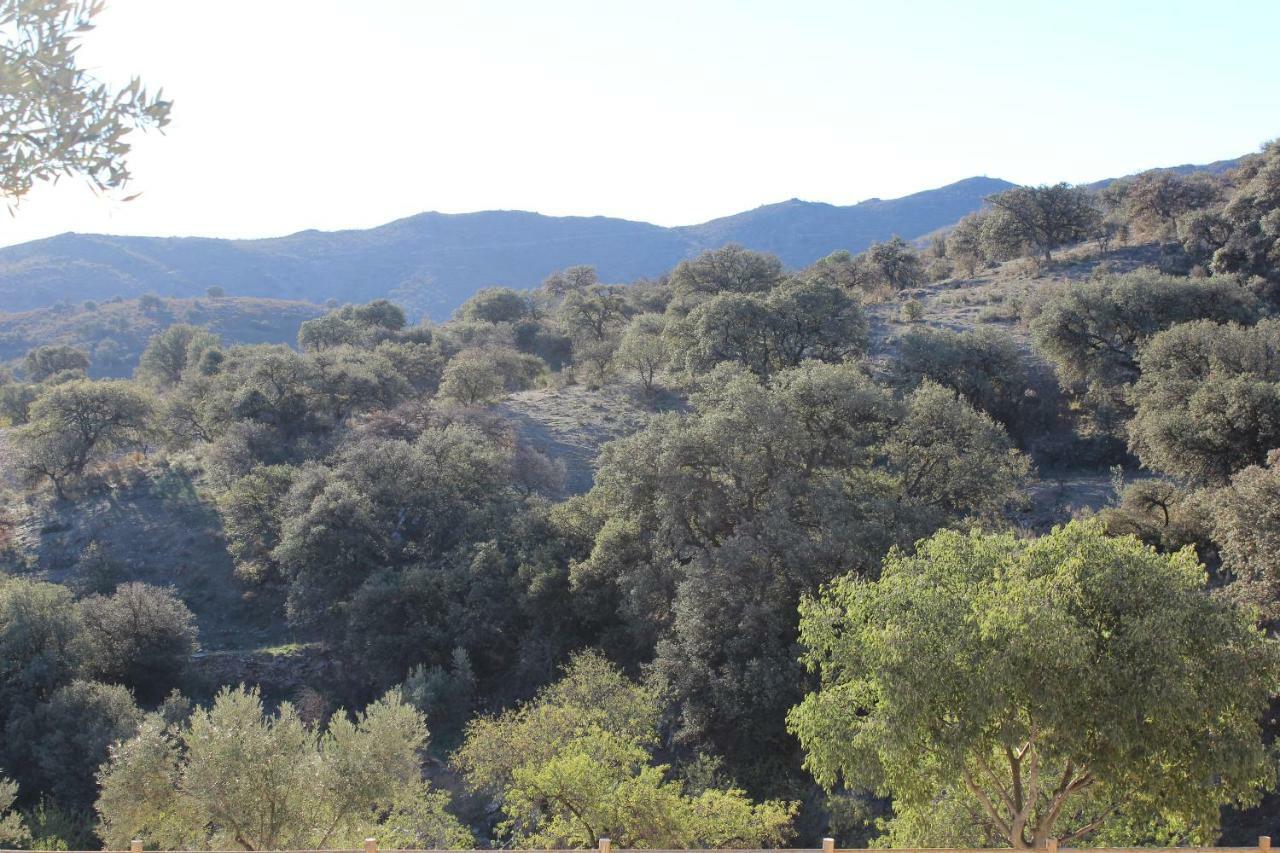 Cortijo Rincon De La Alcudia