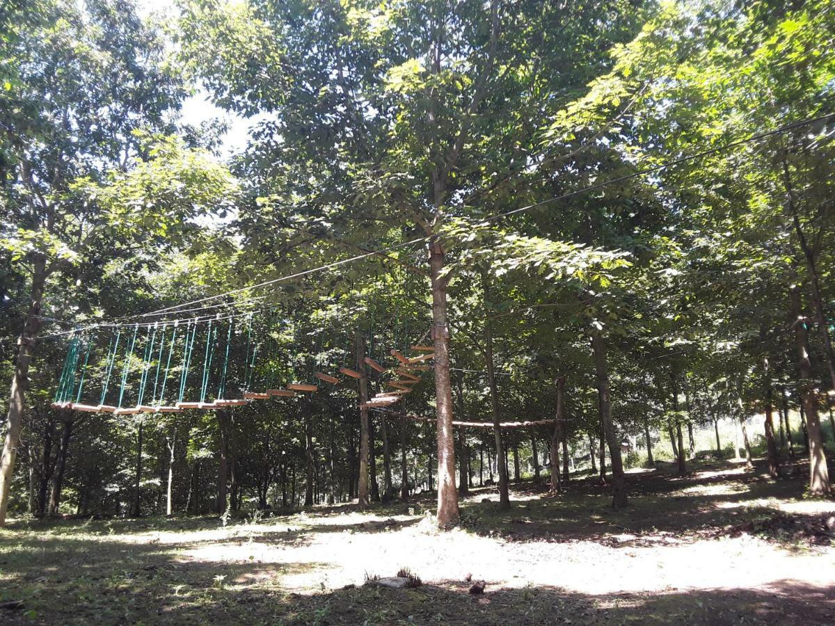 Hostel Mandoia Aterpetxea