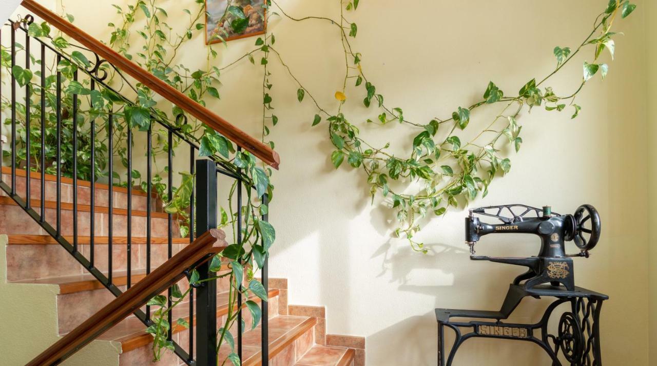 Casa Con Vistas En Mula * El Nino