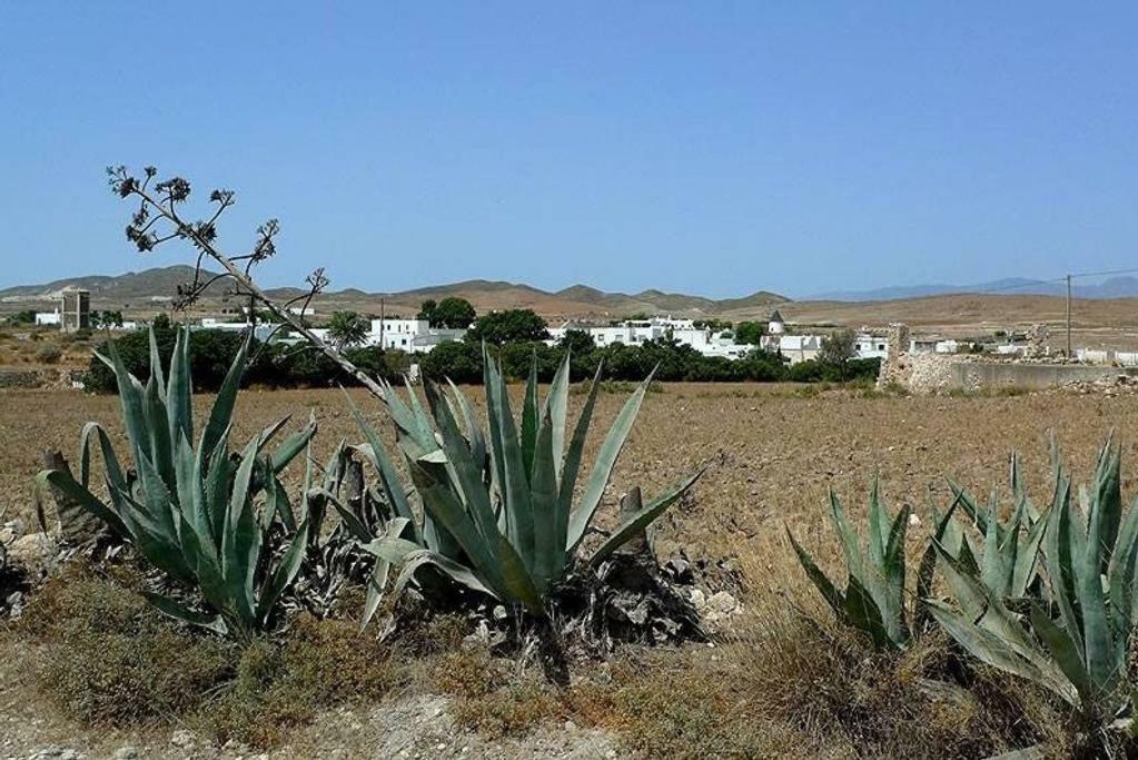 Cortijo Garridos - Fernán Pérez