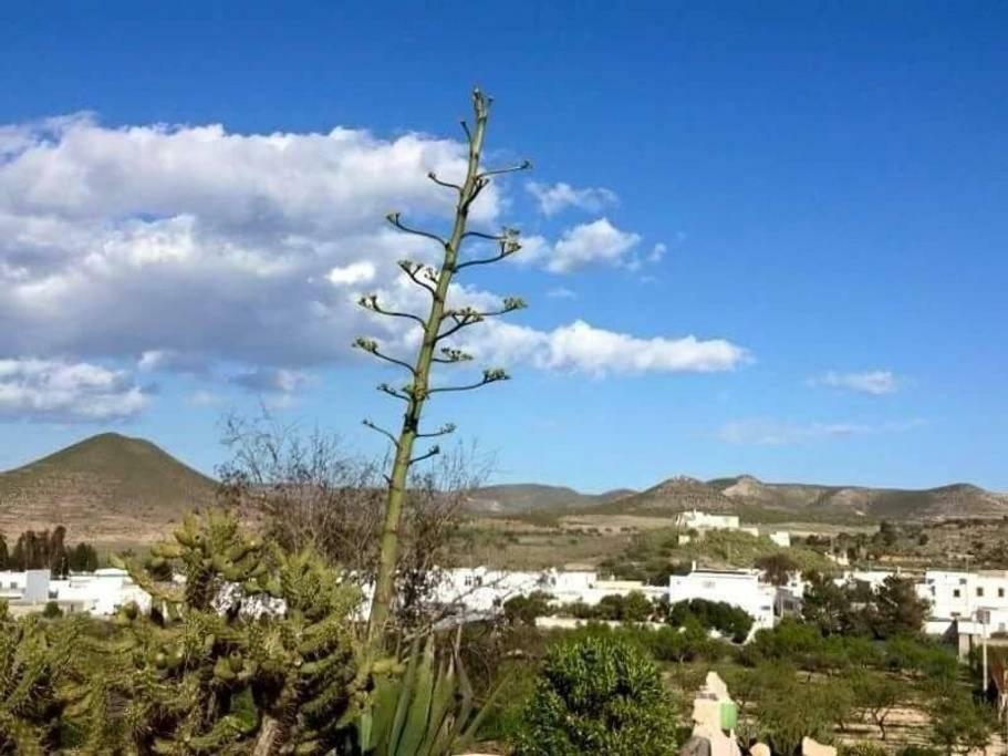Cortijo Garridos - Fernán Pérez Сasa de vacaciones
